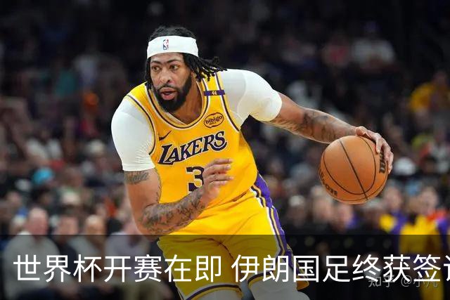 世界杯开赛在即 伊朗国足终获签证